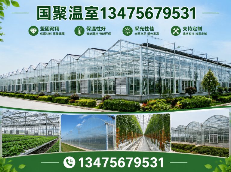 寒亭区玻璃温室展示图