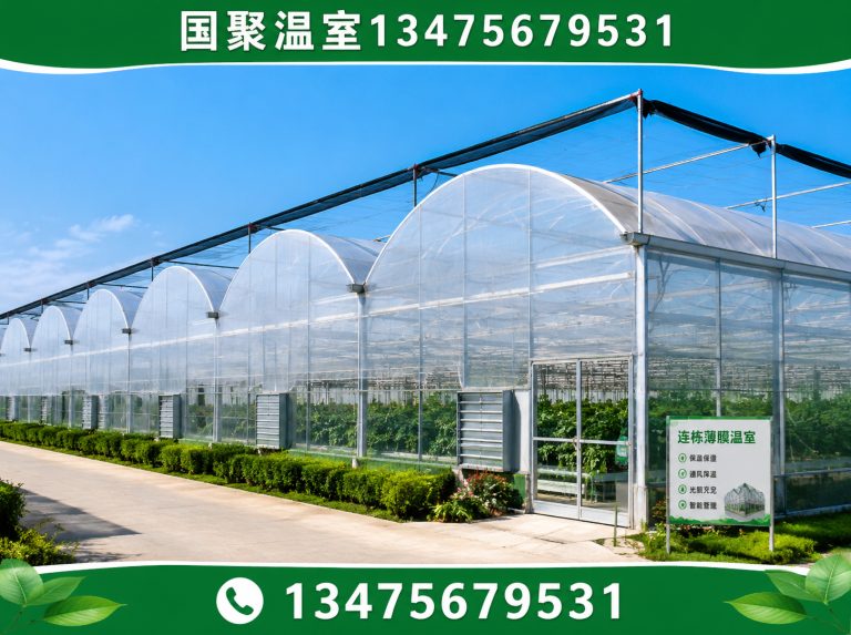 寒亭区国聚温室展示图