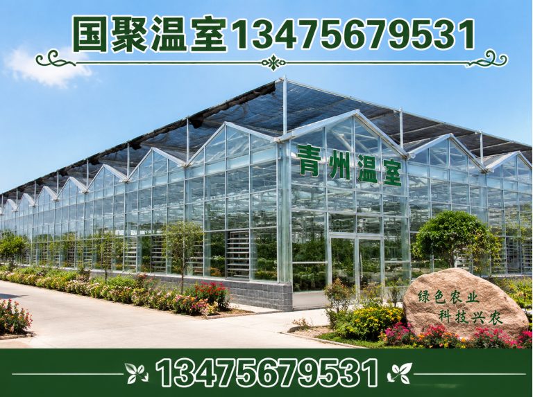 寒亭区青州温室展示图